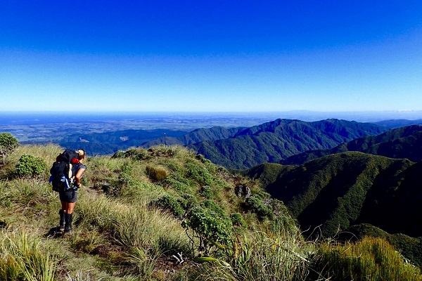 New walking season set to see growing numbers embark on the Te Araroa trail