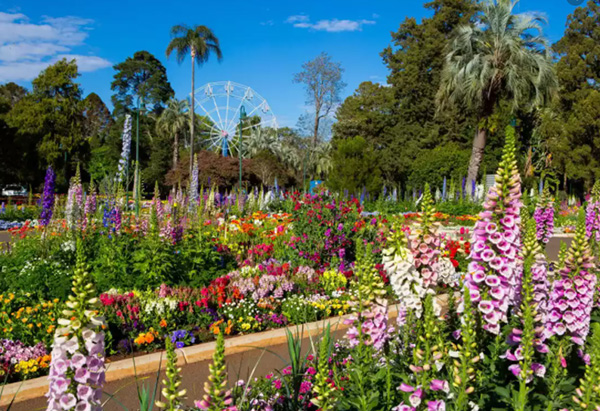 Tourism and Events Queensland secures Toowoomba flower festival for another five years