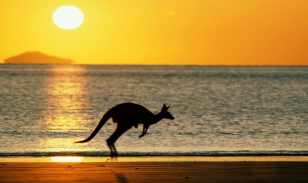 Tourism growth exceeds overall expansion of the Australian economy