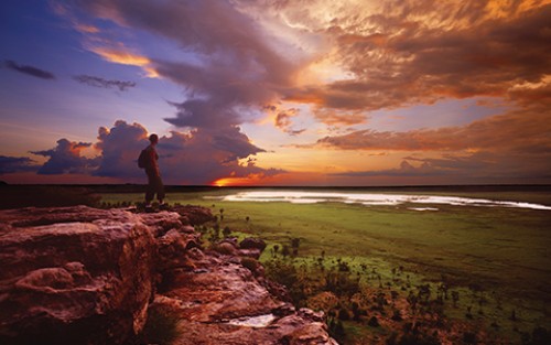 Traditional owners in Kakadu National Park call for resignation of Parks Australia executives