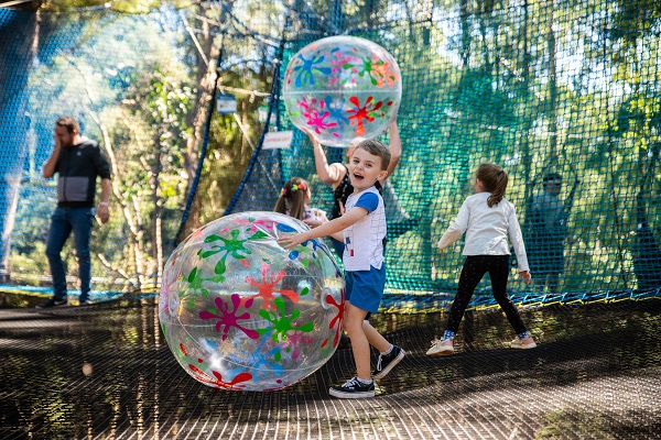 TreeTops opens aerial fusion of play and adventure in Ourimbah State Forest