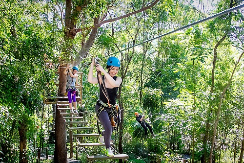 Young adventurers enjoy TreeTop Challenge attraction at Mt Tamborine