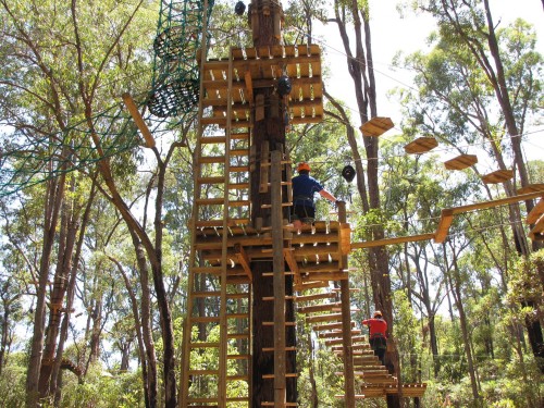 New treetop challenge opens 100 kilometres south of Perth