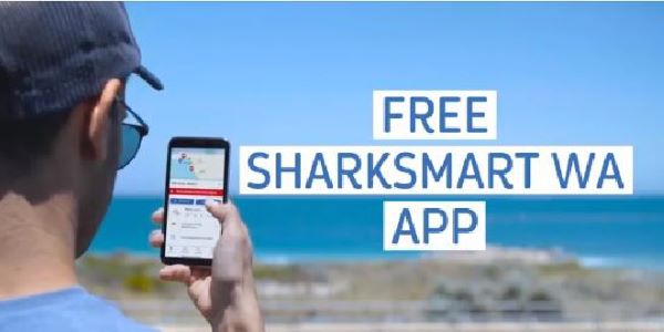 Western Australian Government launches Shark Smart WA app