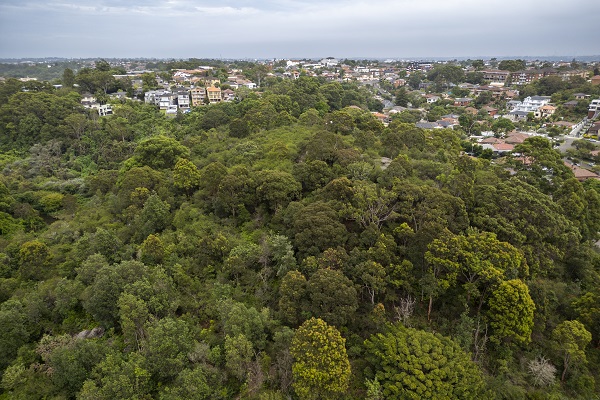 Wolli Creek national park gains additional 4.7 hectares of land to complete Sydney ‘green ribbon’