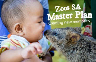 Zoos SA releases plans for new wildlife experiences at Adelaide and Monarto Zoos