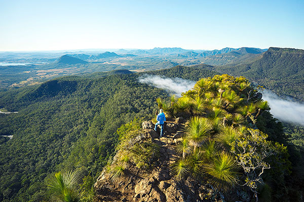 Ecotourism Australia partners with WWF Australia to support bushfire-affected tourism destinations