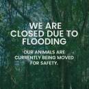 Flooding causes closure of Byron Bay Wildlife Sanctuary
