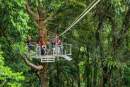 WorkSafe Queensland prosecution alleges safety failures in Daintree zip line fatality