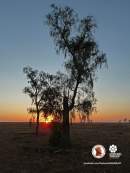 Draft Joint Management plans for Northern Territory conservation reserves released for public input