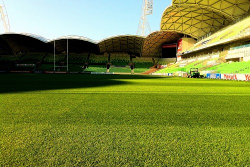 ARU embarrassed by sub-standard AAMI Park pitch