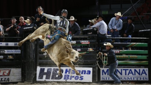RSPCA condemns Adelaide Entertainment Centre bull riding rodeo