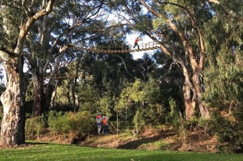Trampoline arena operator Bounce to develop aerial adventure playground in Adelaide Park Lands