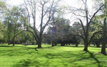 Adelaide City Council plan for a more active city and park lands