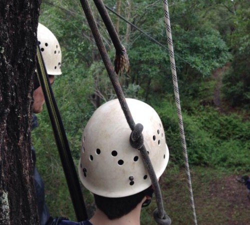 High ropes company says schoolboy’s injury not due to its equipment