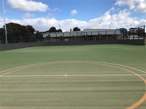 New outdoor Box Lacrosse court to be built at Paisley Park