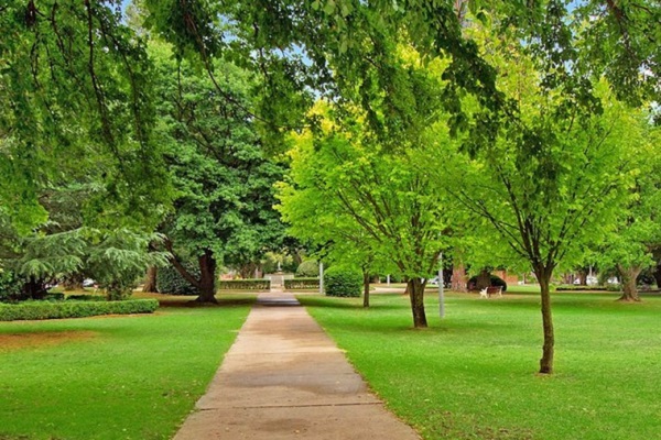 Armidale residents donate water to save trees in drought affected park