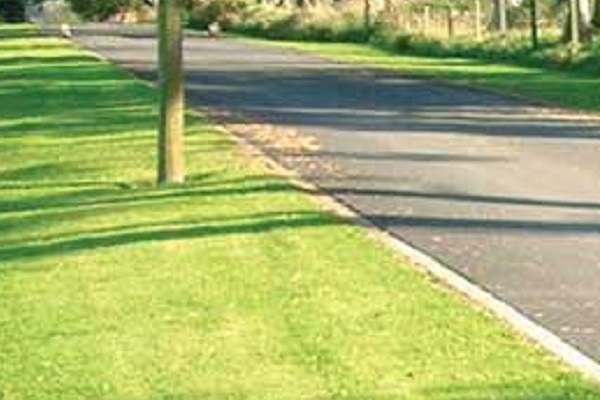 South Australian council removes ban on residents laying artificial grass on road verges