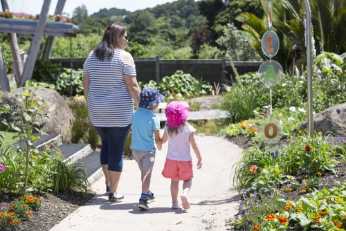 Auckland Botanic Gardens backs inaugural Botanic Garden Open Day