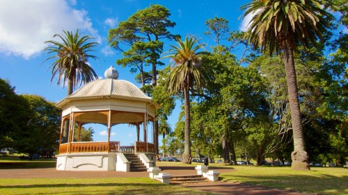 Auckland Domain retains Green Flag Award recognition