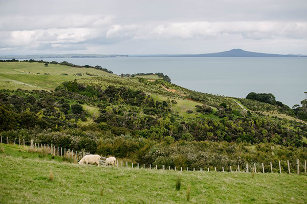 Auckland regional parks will continue to be owned and managed by Auckland Council