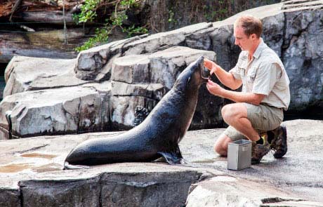 Auckland Zoo awarded Qualmark certification as an Endorsed Visitor Activity