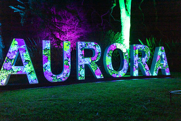 Laservision’s light show in Albury attracts positive community response
