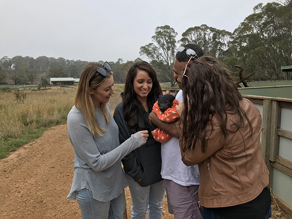 Aussie Ark opens to the general public for second consecutive year