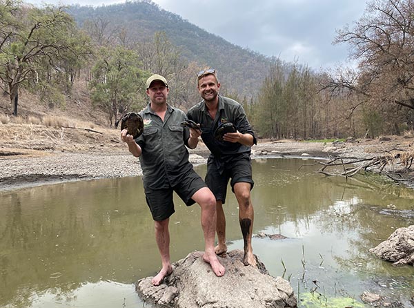 Aussie Ark commit to save critically endangered Manning River Turtles 