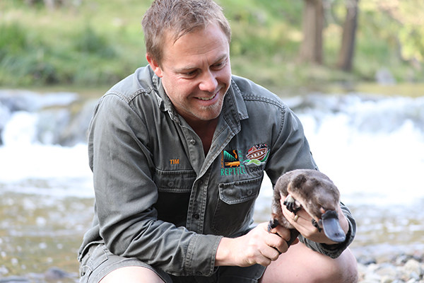 Aussie Ark returns Platypus to the Wild after Bushfire Rescue
