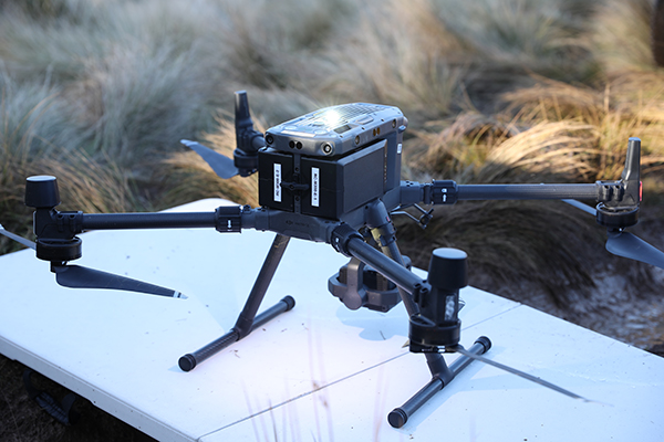 Conservation organisations deploy thermal drones to conduct koala population surveys