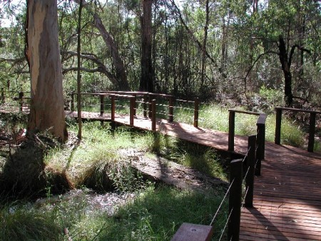 New Australian Botanic Garden path highlights new grants for Sydney metropolitan parks