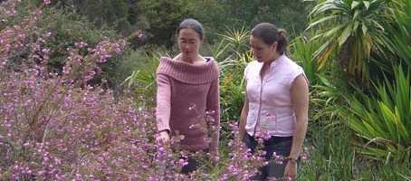 Canberrans connect with nature at National Botanic Gardens during open day