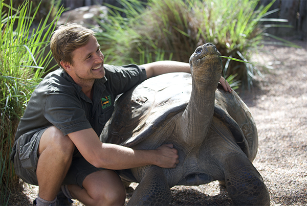 Australian Reptile Park launch new personalised virtual tours during COVID-19