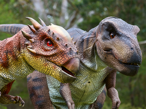 Popular attractions return to the Australian Reptile Park during School Holidays