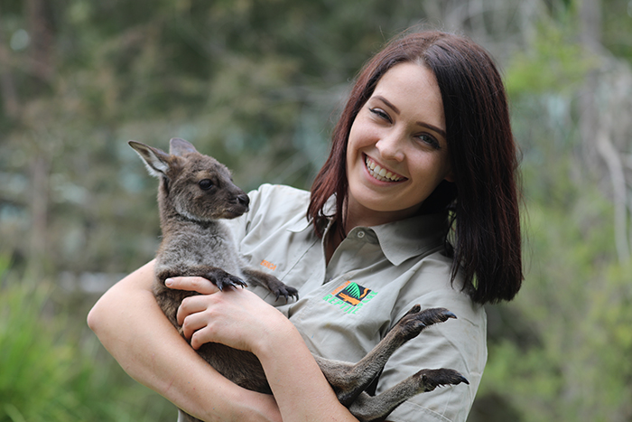 Kangaroo Island Joey takes centre stage at the Australian Reptile Park