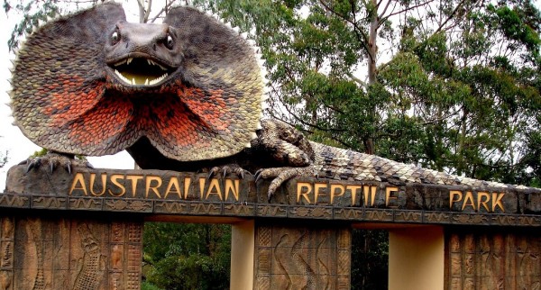 Animals beat the heat at Australian Reptile Park