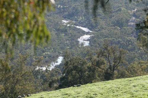 Chittering Valley chosen as location for new open range Perth Zoo