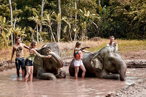 Bali Zoo elephant experience attracts thousands of tourists