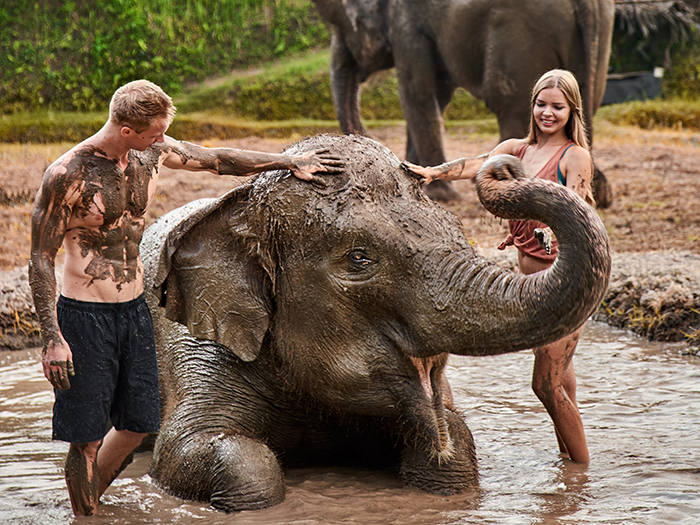 Bali Zoo Introduces a new Elephant Experience