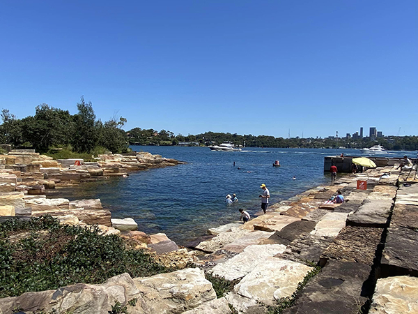 Sydney gets a new harbour swimming location at Barangaroo