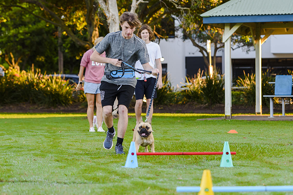 Inaugural Australian fitness training program for dogs and owners launched on Sunshine Coast