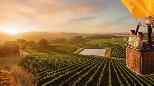 Barossa Valley retains status as South Australia’s top wine tourism destination
