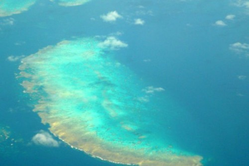 Massive extinction of Great Barrier Reef coral during 2016 marine heatwave