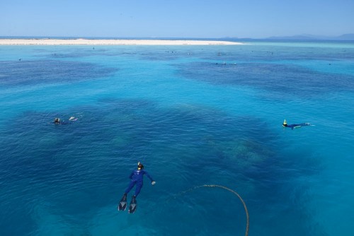 French tourists die on Great Barrier Reef snorkelling tour