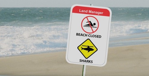Milestone for Western Australia’s shark alert system