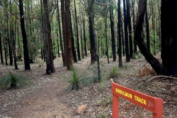 Man pleads guilty to attack on Bibbulmun Track hikers