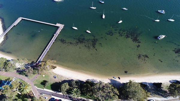 Local contractor appointed to install Swan River’s first shark barrier in Bicton Baths