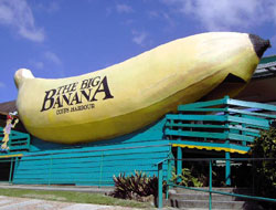 Big Banana installs temporary waterpark