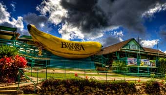 Big Banana expands as 50th birthday approaches